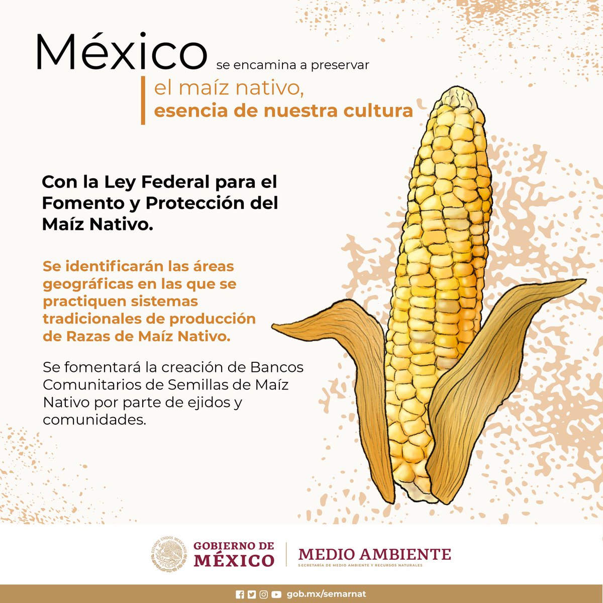 Ley Federal del Maíz
